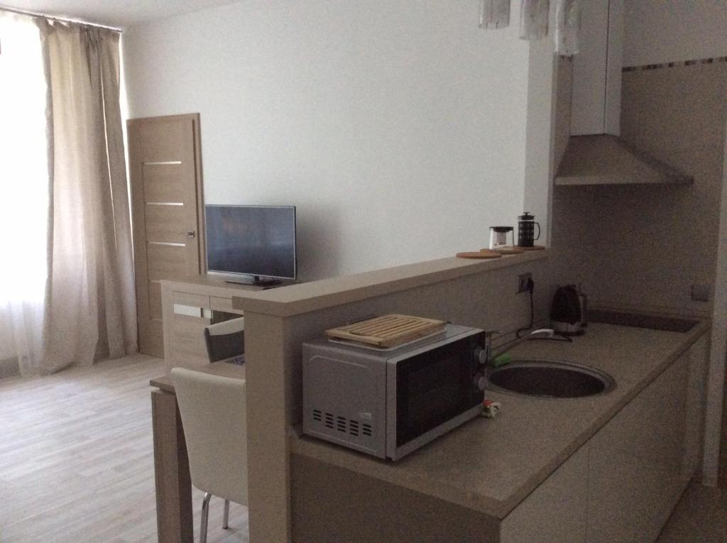 Taikos Apartmentai 2 room 3